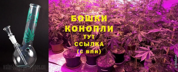 первитин Богданович