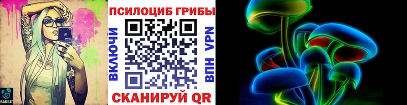 Псилоцибиновые грибы Cubensis  купить наркоту  Верещагино 